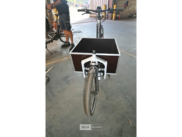 Elektrische bakfiets cargo trike cruiser - afbeelding 3 van  11