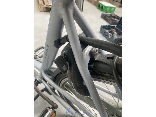 Elektrische damesfiets batavus - afbeelding 7 van  7