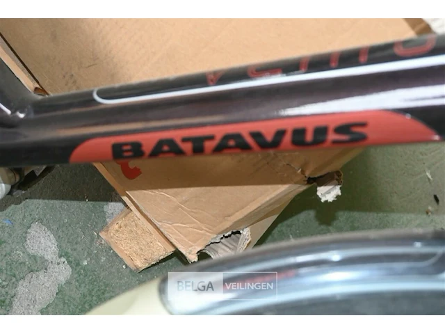 Elektrische damesfiets batavus - afbeelding 5 van  5