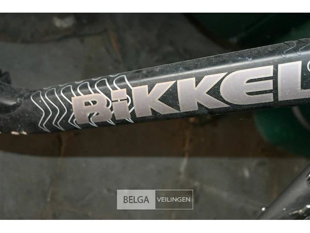 Elektrische damesfiets bikkel - afbeelding 4 van  6