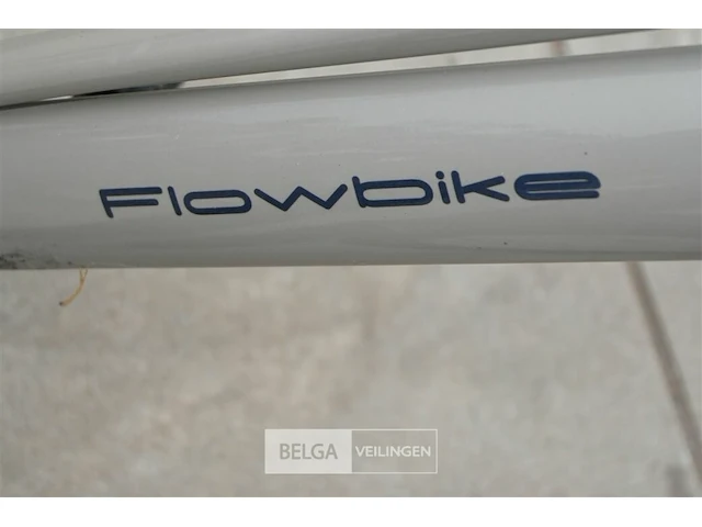 Elektrische damesfiets flowbike - afbeelding 4 van  5