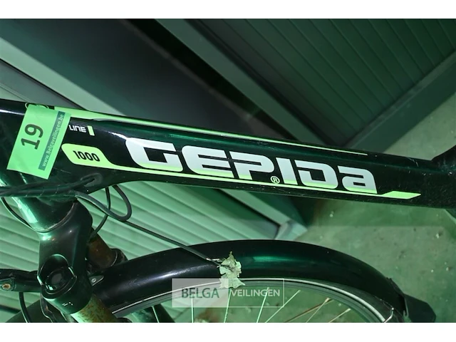 Elektrische damesfiets gepida - afbeelding 5 van  5