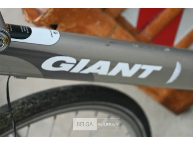 Elektrische damesfiets giant - afbeelding 4 van  4