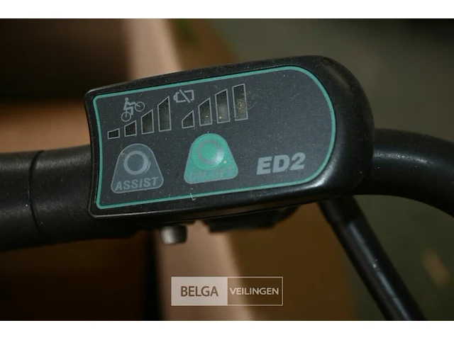 Elektrische damesfiets panther - afbeelding 5 van  5