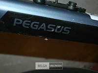 Elektrische damesfiets pegasus - afbeelding 4 van  5