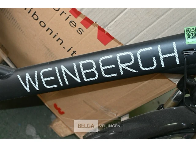 Elektrische damesfiets weinbergh - afbeelding 4 van  4