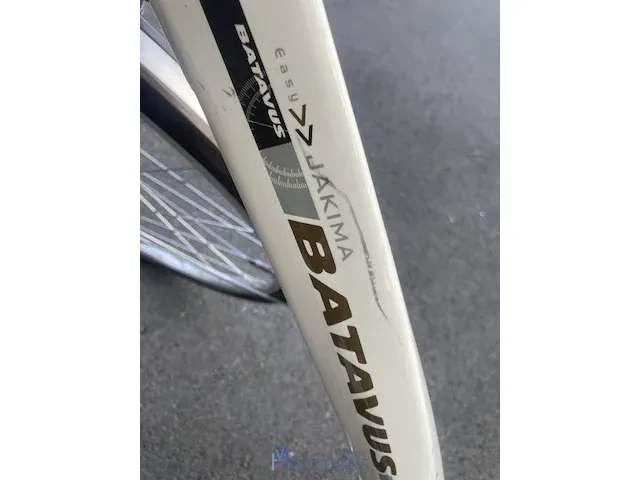 Elektrische fiets batavus jakima - afbeelding 11 van  14