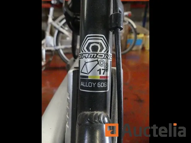 Elektrische fiets diamond alloy 6061 17" - afbeelding 4 van  8