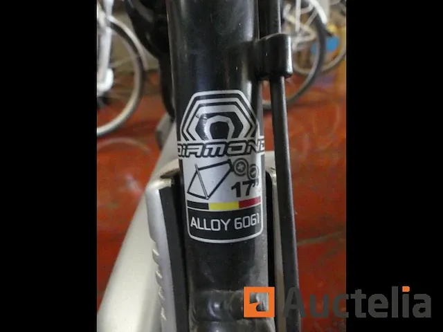 Elektrische fiets diamond alloy 6061 17" - afbeelding 5 van  6