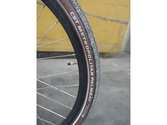 Elektrische fiets fongers - afbeelding 6 van  15