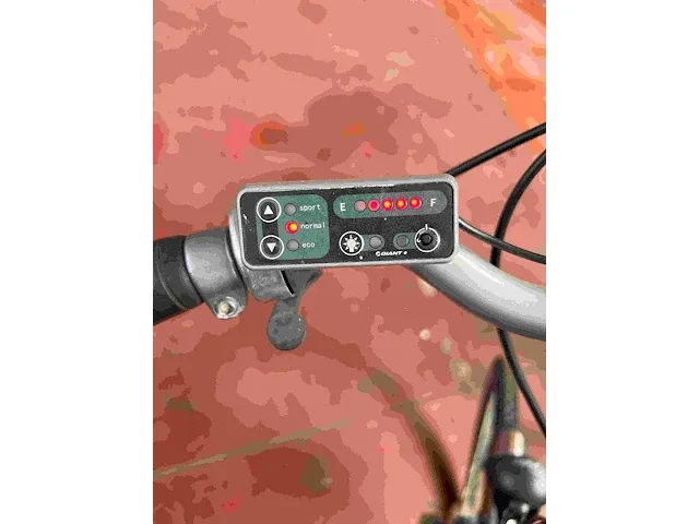 Elektrische fiets giant - afbeelding 4 van  4