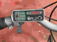 Elektrische fiets giant - afbeelding 4 van  4