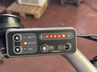 Elektrische fiets giant - afbeelding 3 van  4