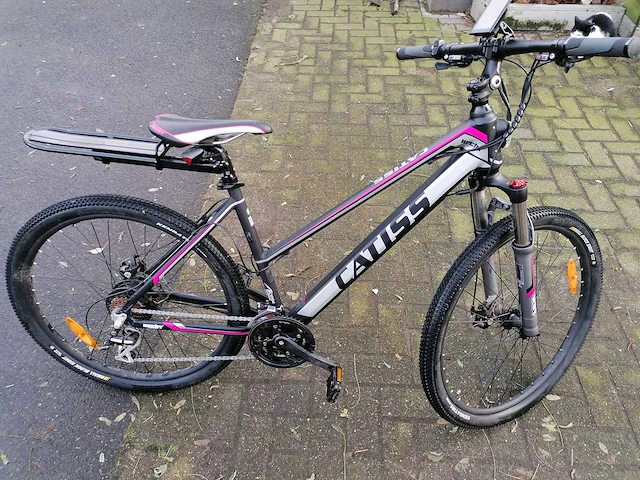 Elektrische fiets hecht - afbeelding 1 van  13