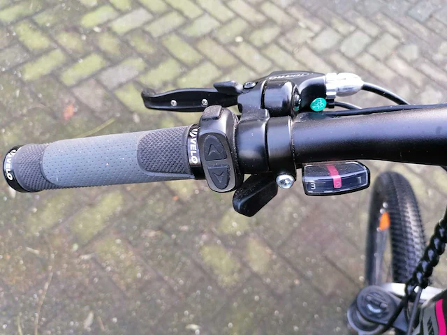 Elektrische fiets hecht - afbeelding 8 van  13