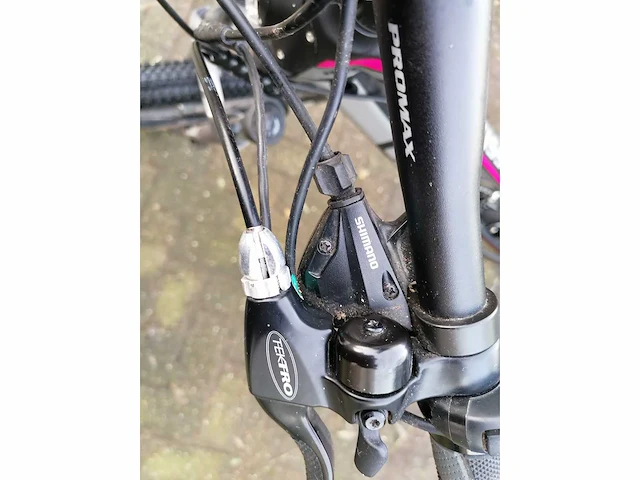 Elektrische fiets hecht - afbeelding 13 van  13