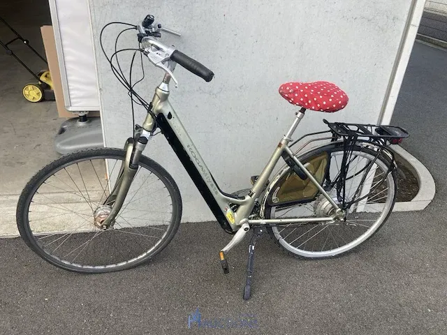 Elektrische fiets koga tesla - afbeelding 1 van  12