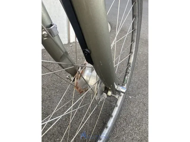 Elektrische fiets koga tesla - afbeelding 12 van  12