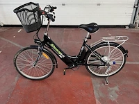Elektrische fiets shuangye