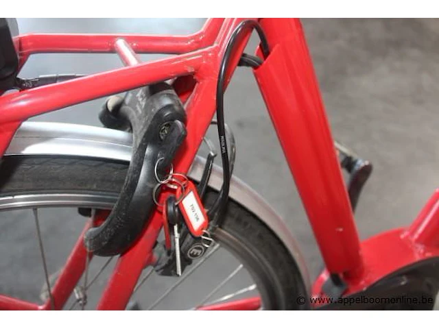 Elektrische fiets, werking niet gekend 702-136 - afbeelding 5 van  10