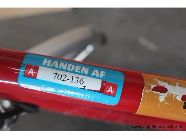 Elektrische fiets, werking niet gekend 702-136 - afbeelding 8 van  10