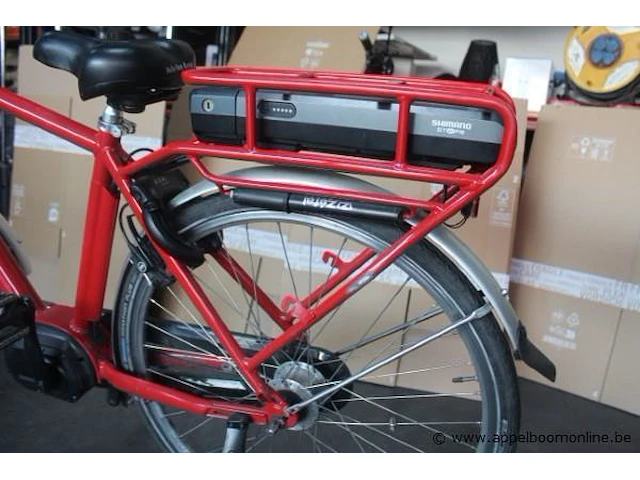 Elektrische fiets, werking niet gekend 702-283 - afbeelding 6 van  9