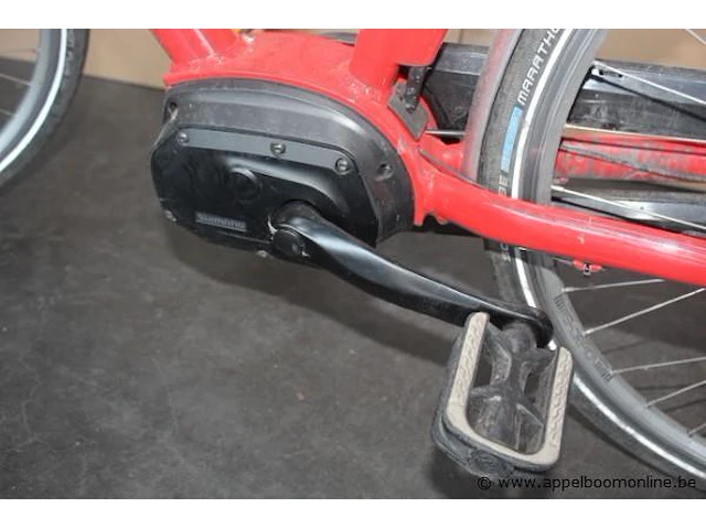 Elektrische fiets, werking niet gekend 702-283 - afbeelding 7 van  9