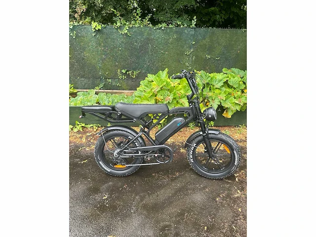 Elektrische fiets - afbeelding 4 van  6