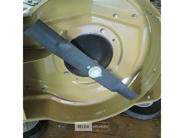 Elektrische grasmachine flandria 220v - afbeelding 9 van  9