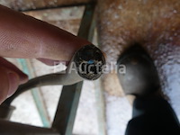 Elektrische kast - afbeelding 6 van  8