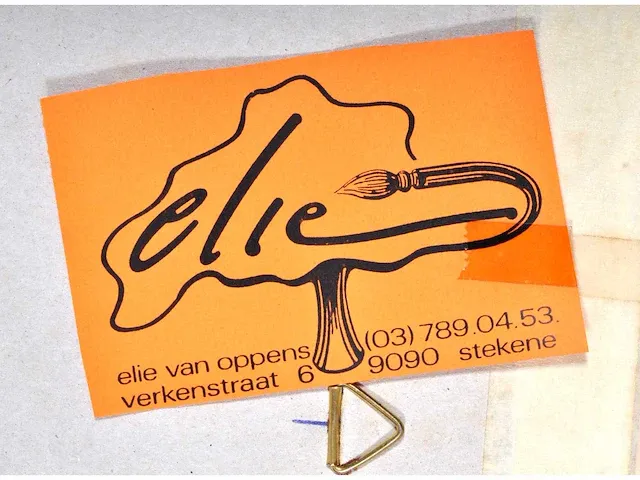 Elie van oppens - origineel - afbeelding 8 van  8