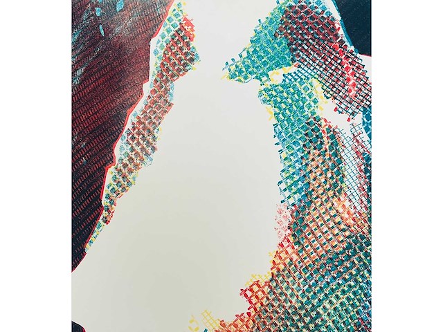 Ellen - kleurenzeefdruk - afbeelding 3 van  5