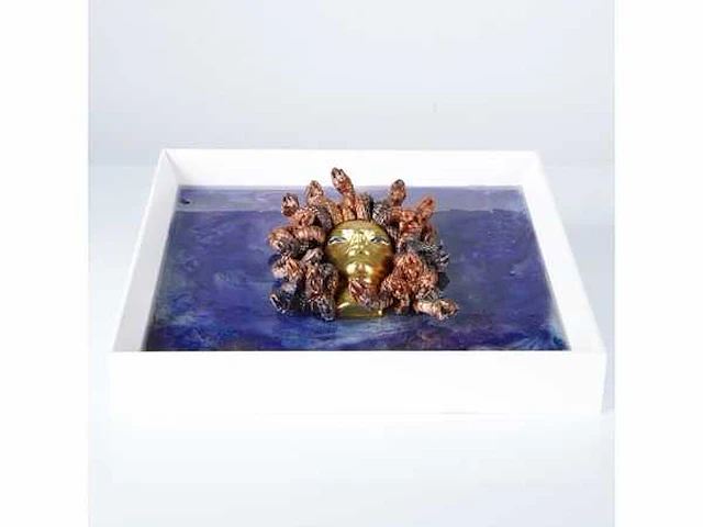 Elvira lopez - "la medusa n3" - sculptuur van medusa buste - 3d kunst op epoxy kunst frame van 40x40 cm. 1/1 - afbeelding 2 van  6