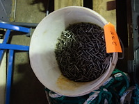 Emmer vijzen - afbeelding 1 van  1