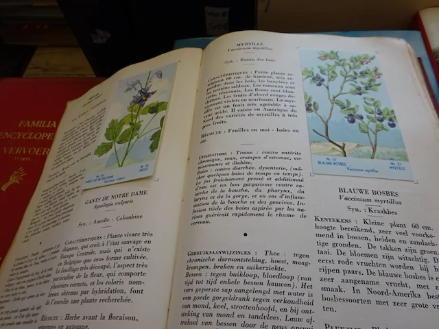 Encyclopedie familia herba 5x - afbeelding 2 van  2