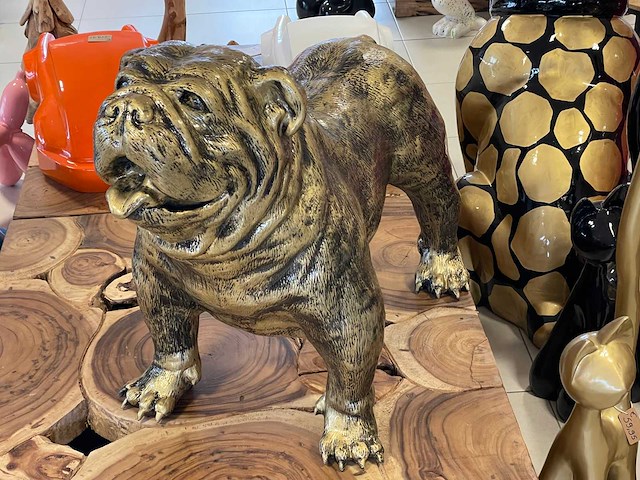Engelse bulldog old gold h75cm x l95cm - afbeelding 1 van  3