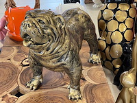 Engelse bulldog old gold h75cm x l95cm - afbeelding 1 van  3