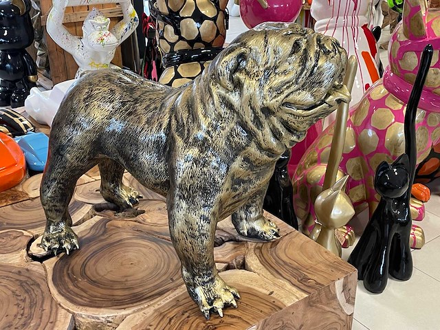 Engelse bulldog old gold h75cm x l95cm - afbeelding 2 van  3