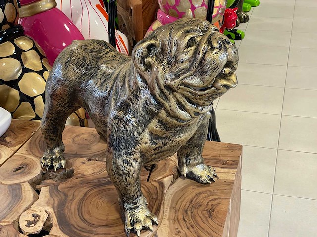 Engelse bulldog old gold h75cm x l95cm - afbeelding 3 van  3