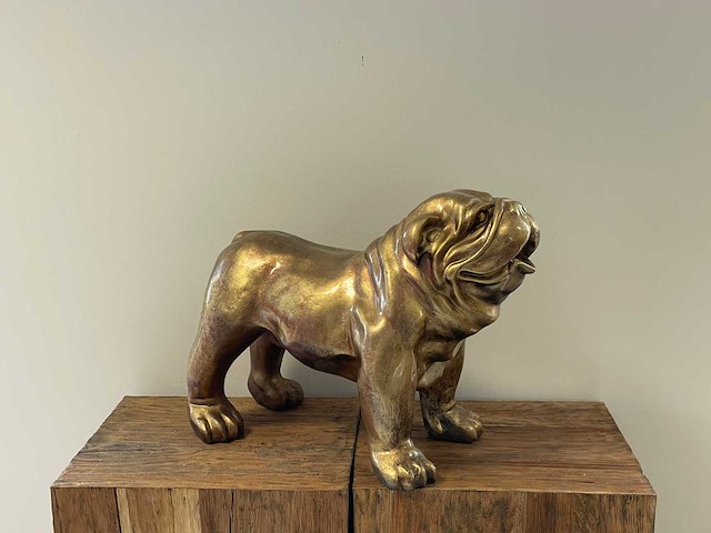 Engelse bulldog staand goud - afbeelding 1 van  2