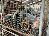 Epal diverse pvc koppelstukken en bochten (2x) - afbeelding 3 van  5
