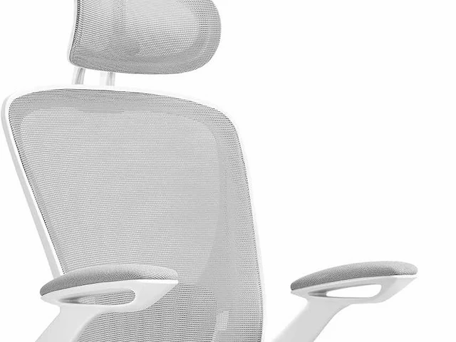 Ergonomische bureaustoel - mesh-stof - afbeelding 1 van  6