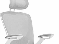 Ergonomische bureaustoel - mesh-stof - afbeelding 1 van  6