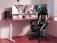 Ergonomische computerstoel - lendensteun - afbeelding 1 van  9