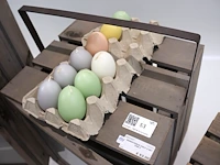 Esschert presentatiebox hout (x4) - afbeelding 5 van  5