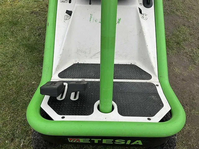 Etesia bahia mbhe zitmaaier 2009 - afbeelding 2 van  21