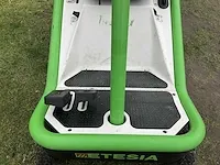 Etesia bahia mbhe zitmaaier 2009 - afbeelding 2 van  21