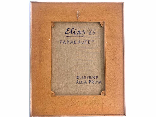 Etienne elias - parachute - olie op doek - afbeelding 2 van  12