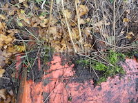 Everun er2500 wiellader - afbeelding 11 van  34