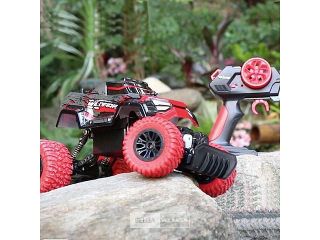 Exost rc x-wildfire terreinwagen - afbeelding 4 van  5